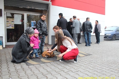 Tam boy resmi görebilmek için tıklayın