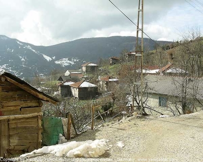 Tam boy resmi görebilmek için tıklayın