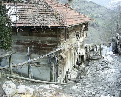 Tam boy resmi görebilmek için tıklayın