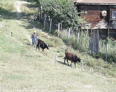 Tam boy resmi görebilmek için tıklayın