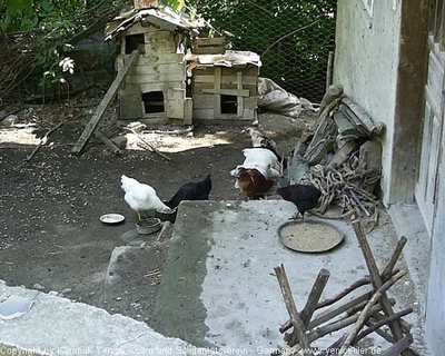 Tam boy resmi görebilmek için tıklayın