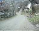 yortan_album_Karabuk_yenice_gokbel_0014.jpg