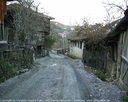 yortan_album_Karabuk_yenice_nodullar_0032.jpg