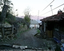 yortan_album_Karabuk_yenice_nodullar_0057.jpg